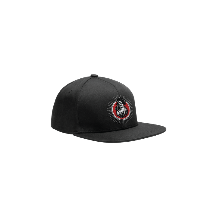 Ward Davis - Snapback Hat